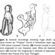 Illustration for article titled Why does the world's oldest cave art show a vagina?